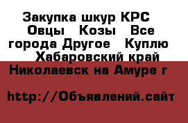 Закупка шкур КРС , Овцы , Козы - Все города Другое » Куплю   . Хабаровский край,Николаевск-на-Амуре г.